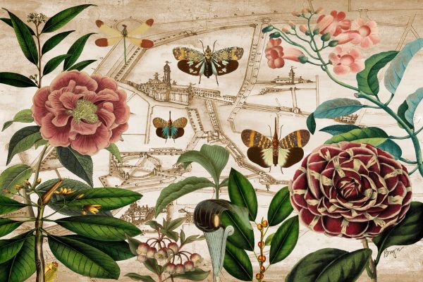 Padua Map with Butterflies