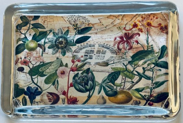 Orto Botonico of Padua Paperweight