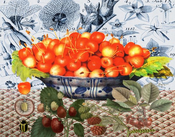 Cherries in a Blue Bowl