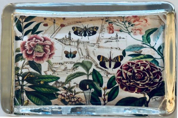Padua Map with Butterflies Paperweight