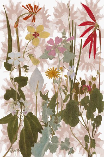Pink Mystical Garden