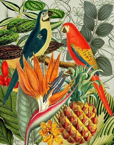 Two Parrots in Paradise