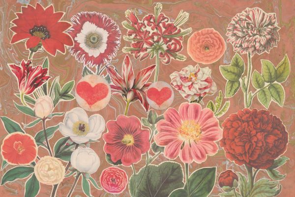 Valentine Flowers