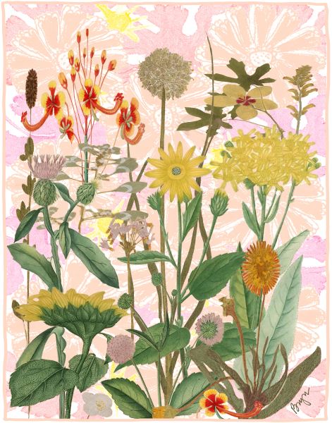Yellow Sun Mystery Garden