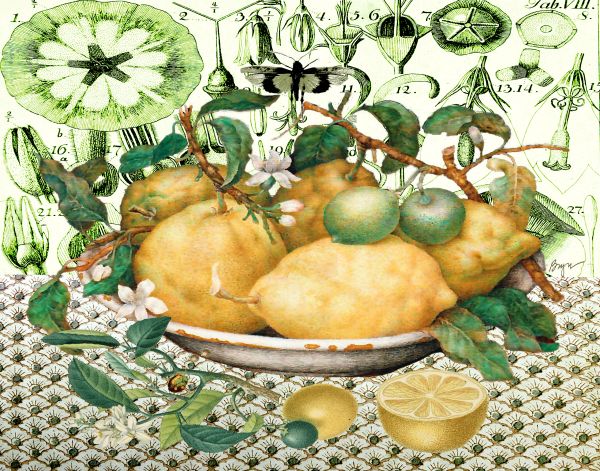 Lemons in a Painted Bowl